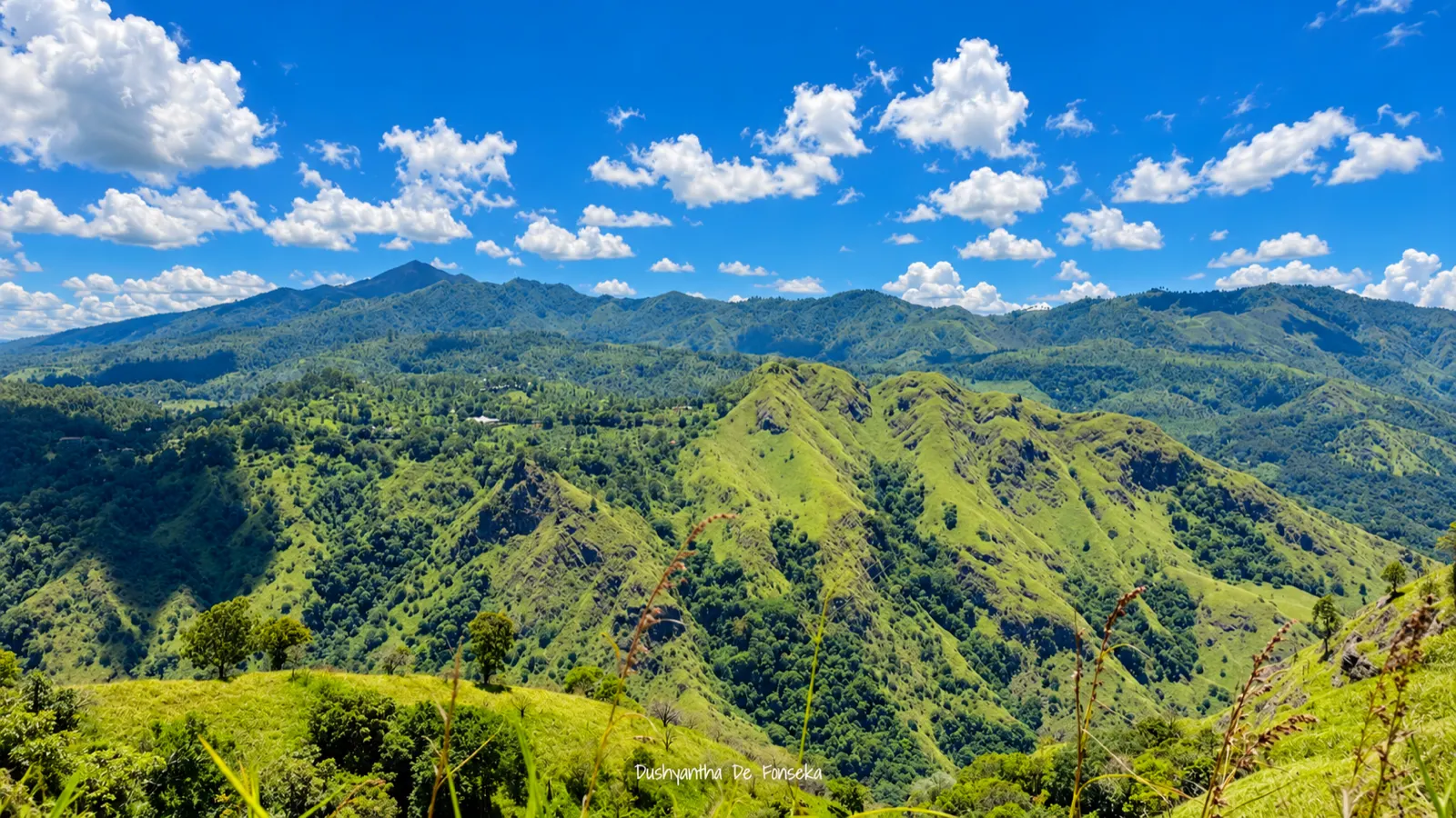 Green hills under a blue sky near Bandarawela
